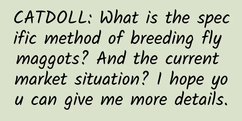 CATDOLL: What is the specific method of breeding fly maggots? And the current market situation? I hope you can give me more details.