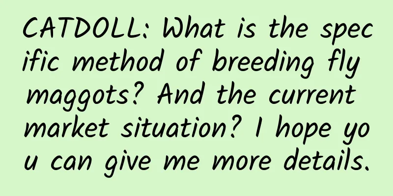 CATDOLL: What is the specific method of breeding fly maggots? And the current market situation? I hope you can give me more details.