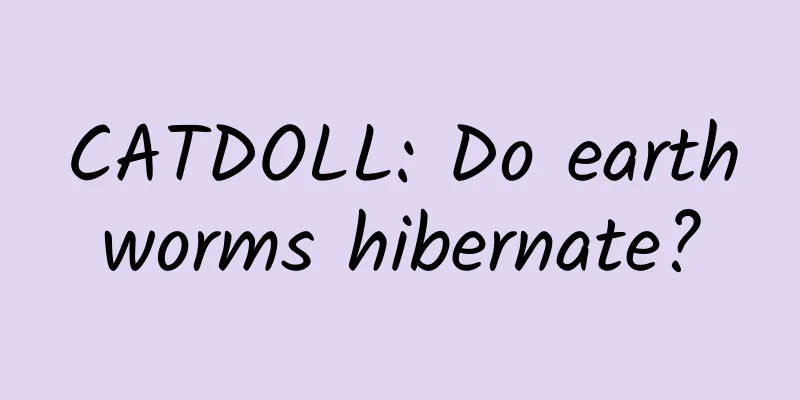 CATDOLL: Do earthworms hibernate?