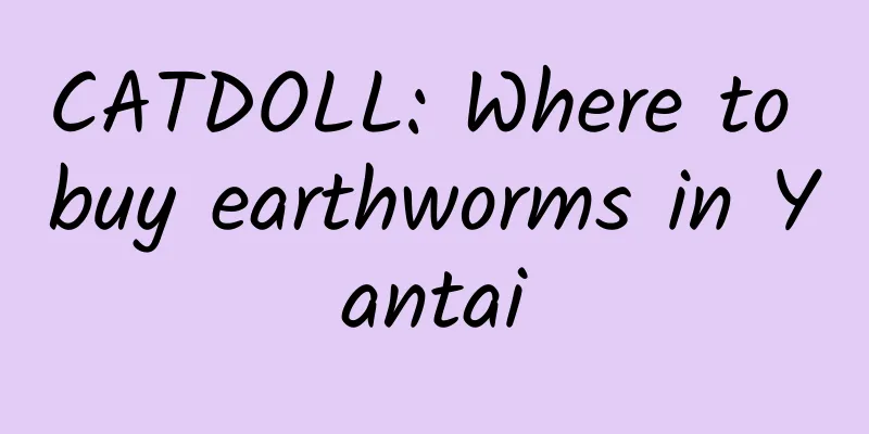 CATDOLL: Where to buy earthworms in Yantai