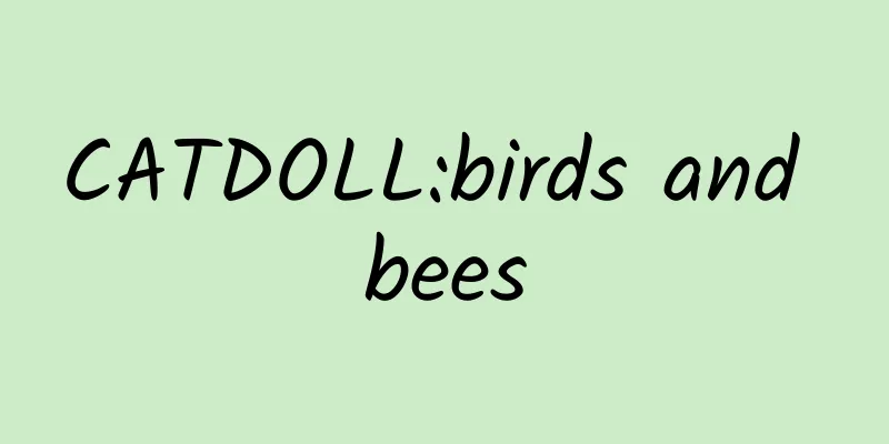 CATDOLL:birds and bees