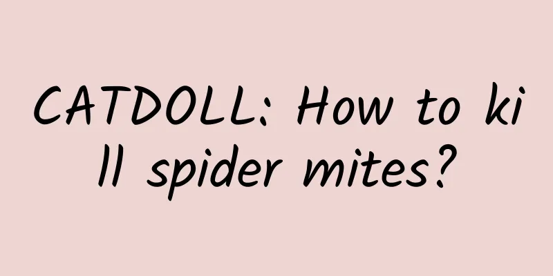 CATDOLL: How to kill spider mites?