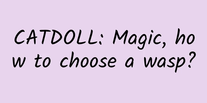 CATDOLL: Magic, how to choose a wasp?