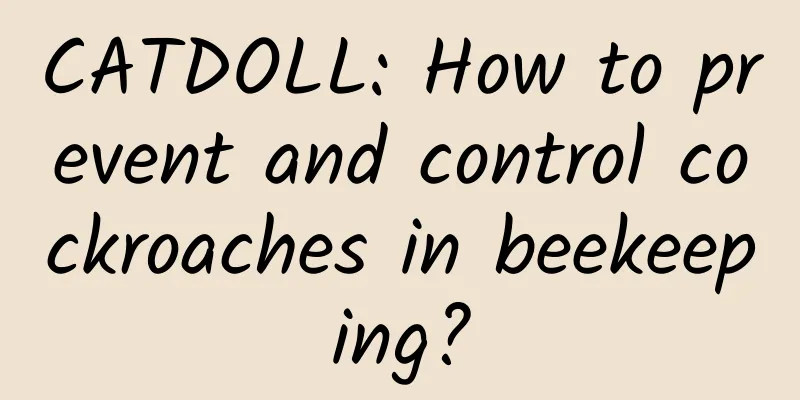 CATDOLL: How to prevent and control cockroaches in beekeeping?