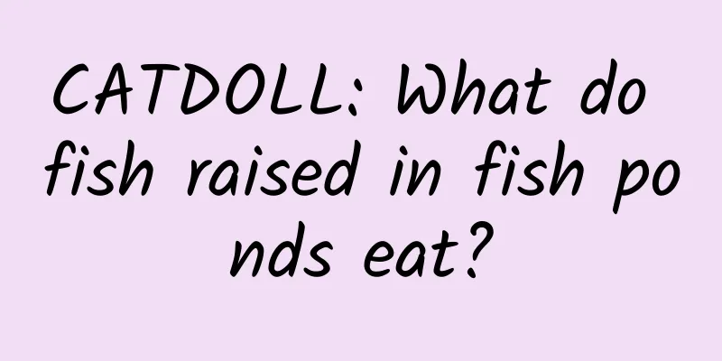 CATDOLL: What do fish raised in fish ponds eat?