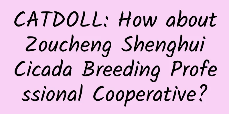 CATDOLL: How about Zoucheng Shenghui Cicada Breeding Professional Cooperative?