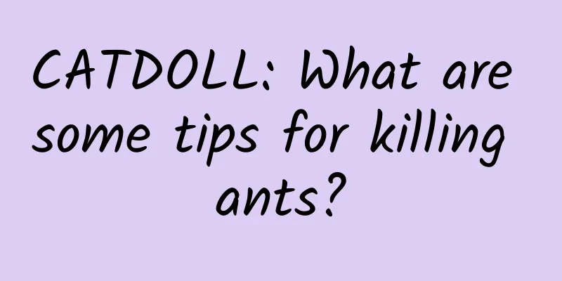 CATDOLL: What are some tips for killing ants?