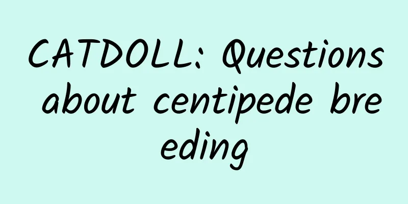 CATDOLL: Questions about centipede breeding