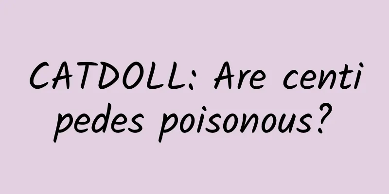 CATDOLL: Are centipedes poisonous?
