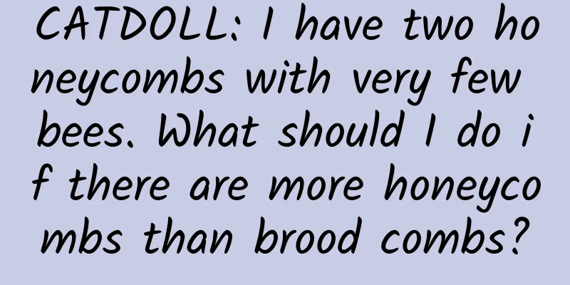CATDOLL: I have two honeycombs with very few bees. What should I do if there are more honeycombs than brood combs?