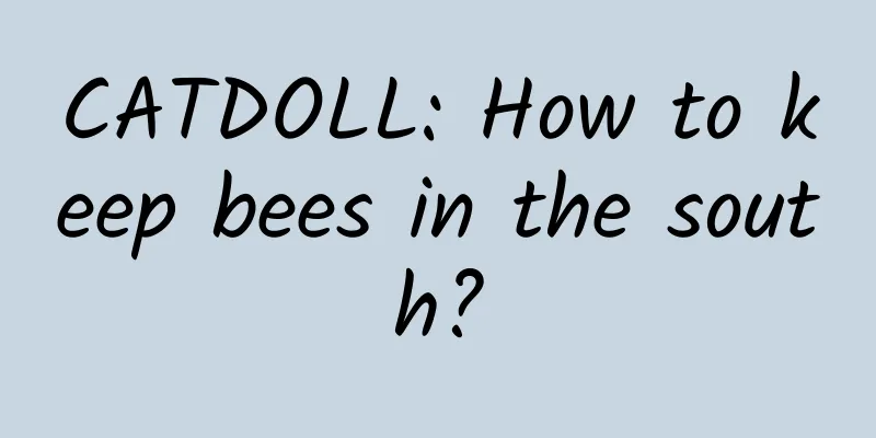 CATDOLL: How to keep bees in the south?