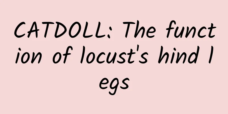CATDOLL: The function of locust's hind legs