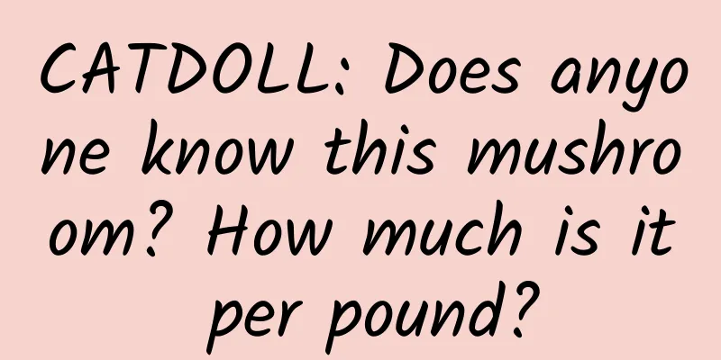 CATDOLL: Does anyone know this mushroom? How much is it per pound?