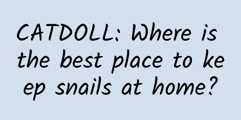 CATDOLL: Where is the best place to keep snails at home?