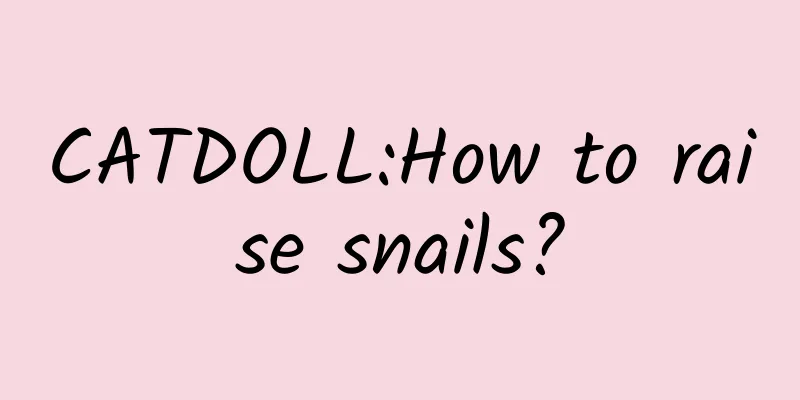 CATDOLL:How to raise snails?