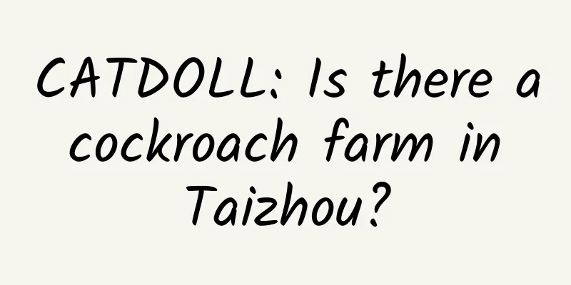 CATDOLL: Is there a cockroach farm in Taizhou?