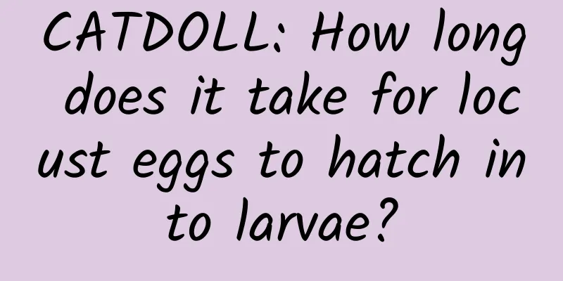 CATDOLL: How long does it take for locust eggs to hatch into larvae?