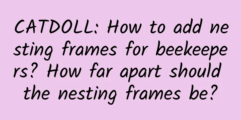 CATDOLL: How to add nesting frames for beekeepers? How far apart should the nesting frames be?