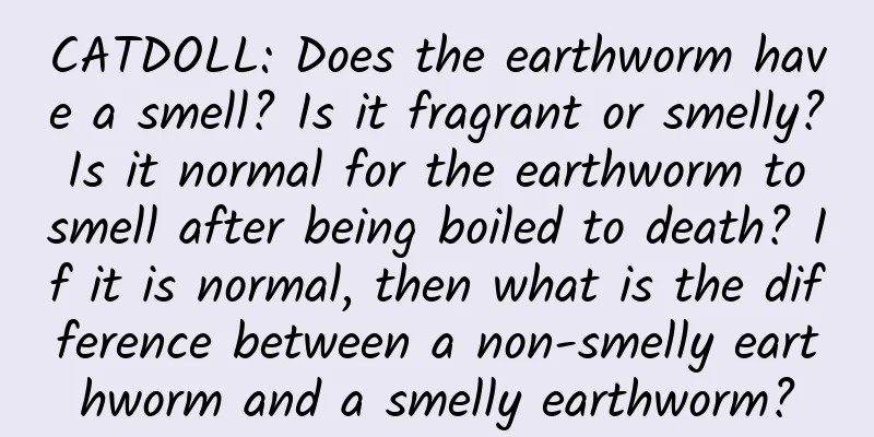 CATDOLL: Does the earthworm have a smell? Is it fragrant or smelly? Is it normal for the earthworm to smell after being boiled to death? If it is normal, then what is the difference between a non-smelly earthworm and a smelly earthworm?