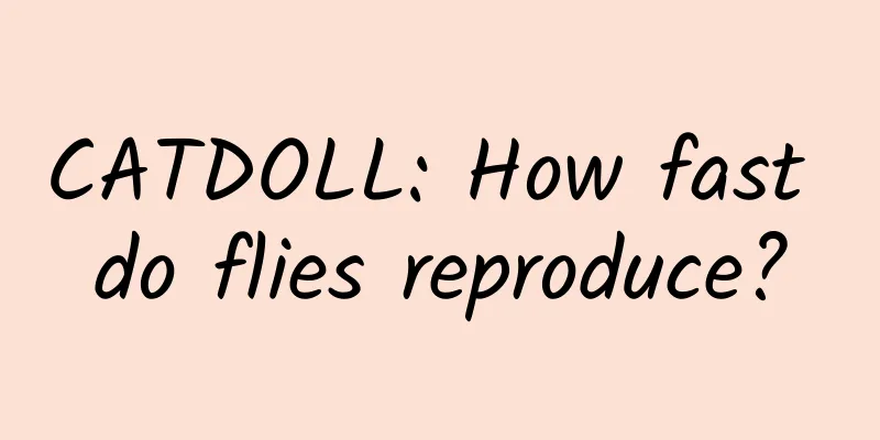 CATDOLL: How fast do flies reproduce?