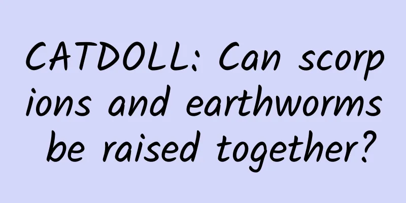CATDOLL: Can scorpions and earthworms be raised together?