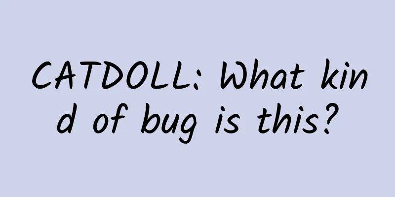 CATDOLL: What kind of bug is this?