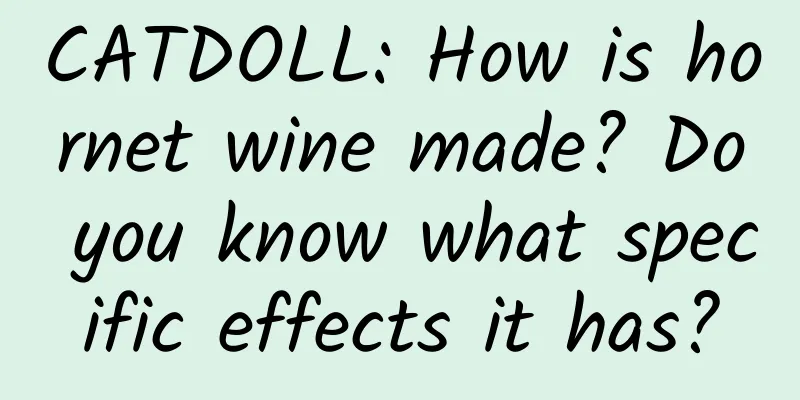 CATDOLL: How is hornet wine made? Do you know what specific effects it has?