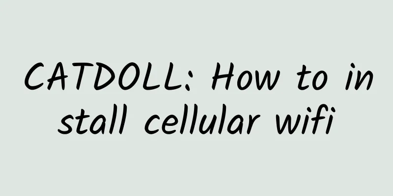CATDOLL: How to install cellular wifi