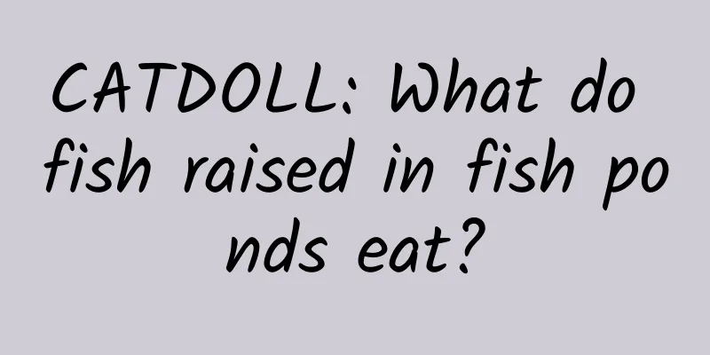 CATDOLL: What do fish raised in fish ponds eat?