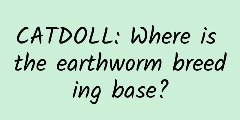CATDOLL: Where is the earthworm breeding base?