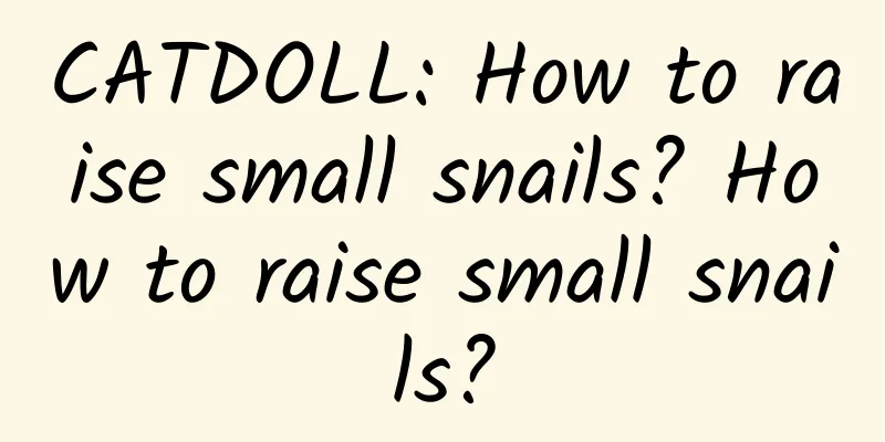 CATDOLL: How to raise small snails? How to raise small snails?