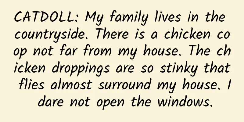CATDOLL: My family lives in the countryside. There is a chicken coop not far from my house. The chicken droppings are so stinky that flies almost surround my house. I dare not open the windows.