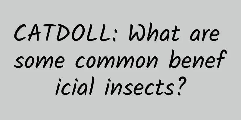 CATDOLL: What are some common beneficial insects?