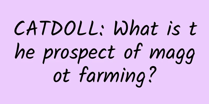 CATDOLL: What is the prospect of maggot farming?