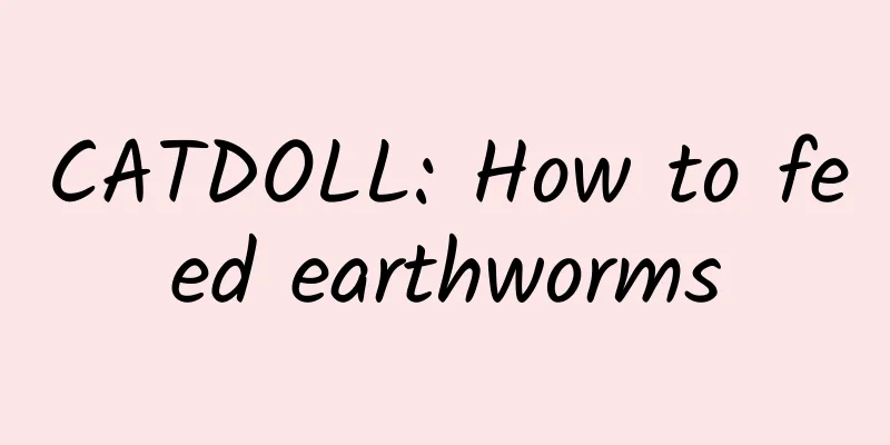 CATDOLL: How to feed earthworms
