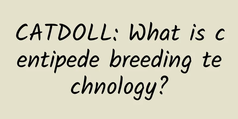 CATDOLL: What is centipede breeding technology?