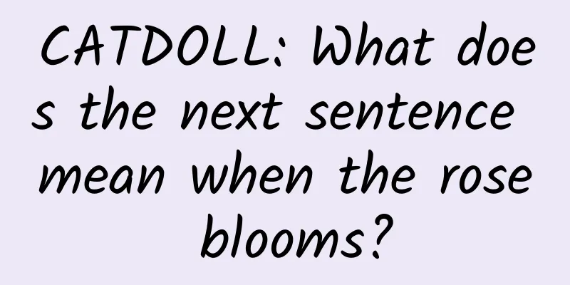 CATDOLL: What does the next sentence mean when the rose blooms?