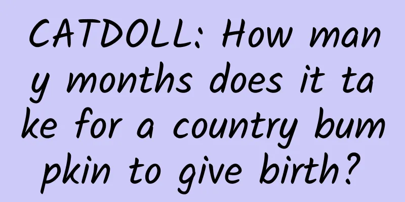 CATDOLL: How many months does it take for a country bumpkin to give birth?