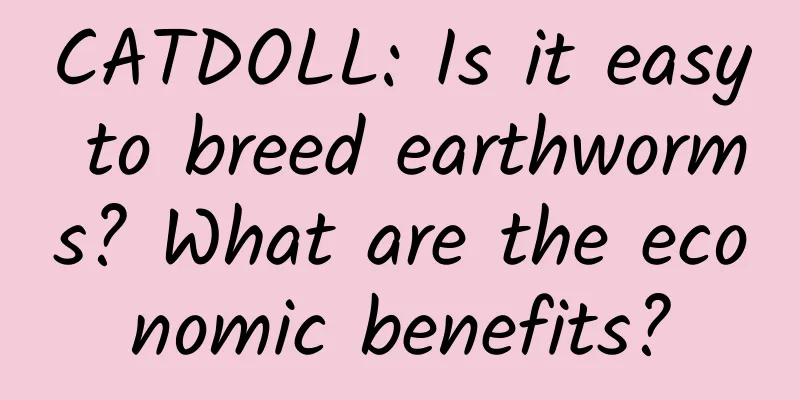 CATDOLL: Is it easy to breed earthworms? What are the economic benefits?