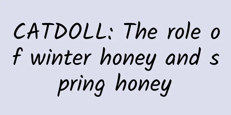 CATDOLL: The role of winter honey and spring honey