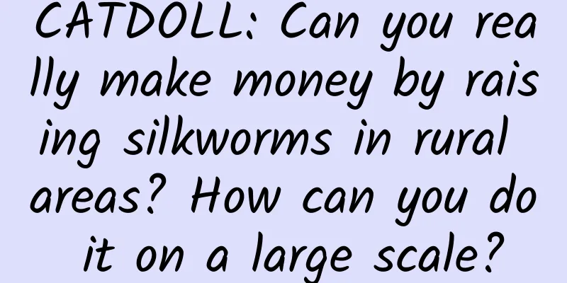 CATDOLL: Can you really make money by raising silkworms in rural areas? How can you do it on a large scale?