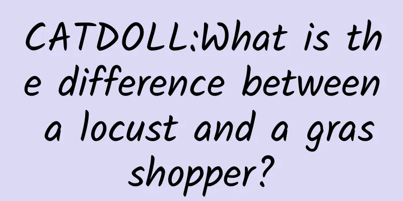 CATDOLL:What is the difference between a locust and a grasshopper?