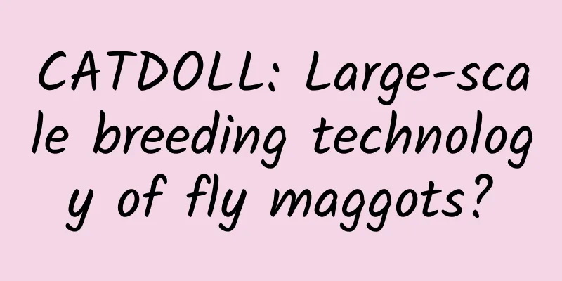 CATDOLL: Large-scale breeding technology of fly maggots?