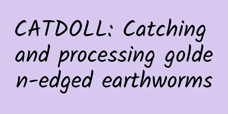 CATDOLL: Catching and processing golden-edged earthworms