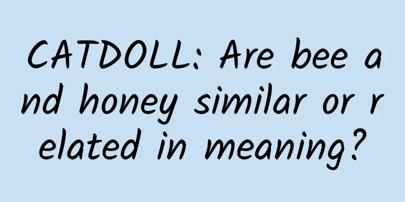 CATDOLL: Are bee and honey similar or related in meaning?