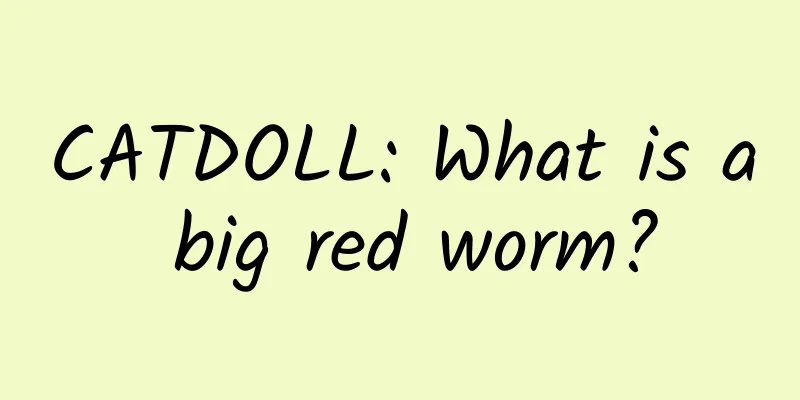 CATDOLL: What is a big red worm?