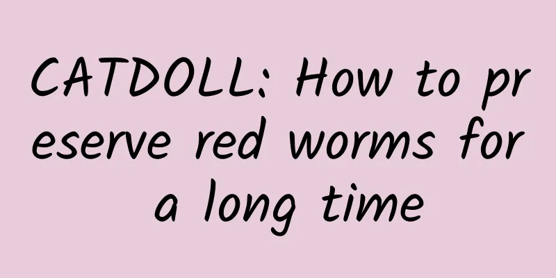 CATDOLL: How to preserve red worms for a long time