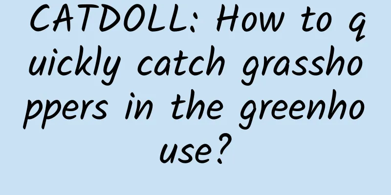 CATDOLL: How to quickly catch grasshoppers in the greenhouse?