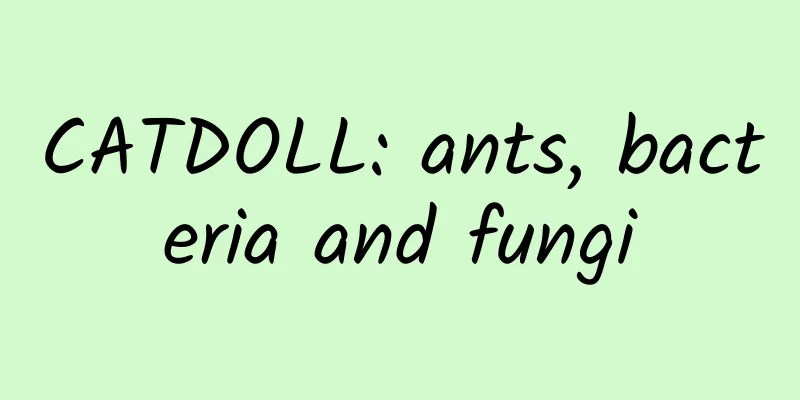 CATDOLL: ants, bacteria and fungi