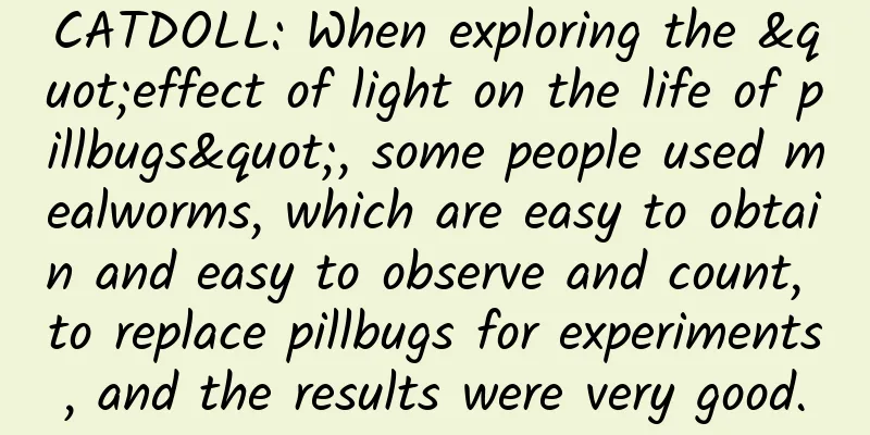 CATDOLL: When exploring the "effect of light on the life of pillbugs", some people used mealworms, which are easy to obtain and easy to observe and count, to replace pillbugs for experiments, and the results were very good.